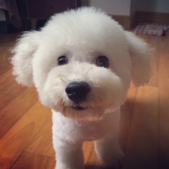 sophiezzz